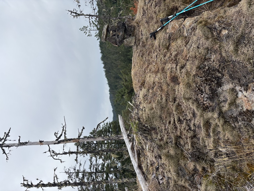 Manzanita Peak