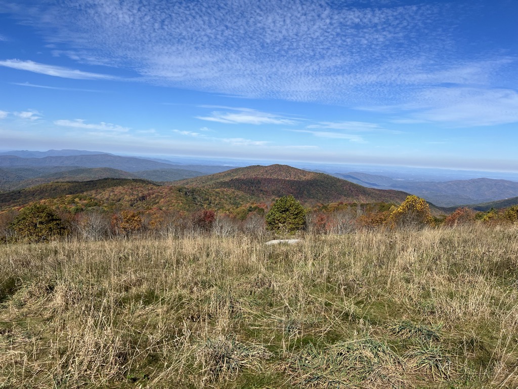 Max Patch Mountain