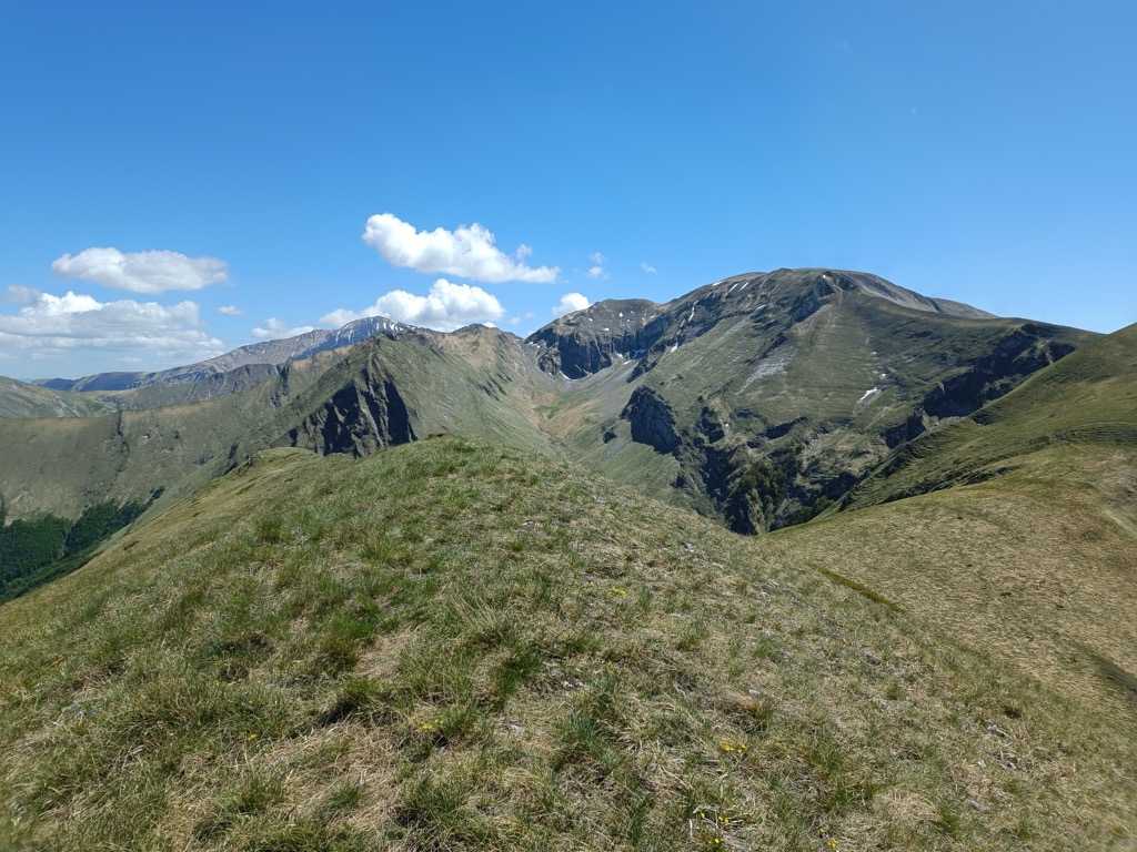 Monte Cacamillo