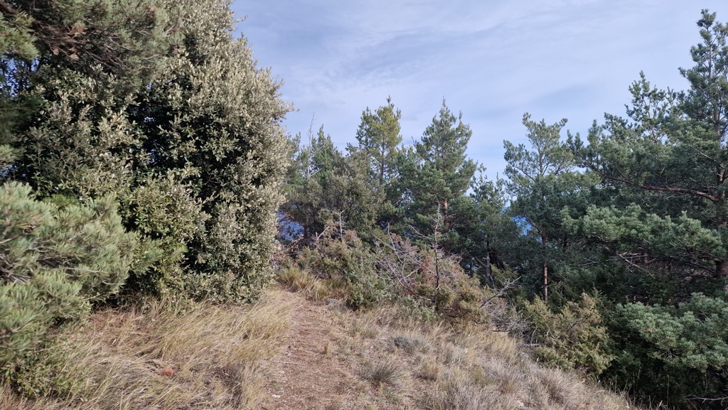 Puig de la Gavarra