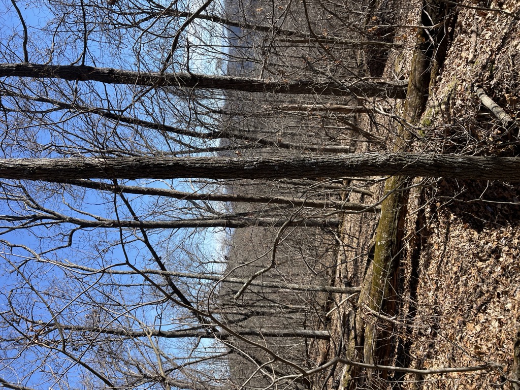 Trimble Mountain