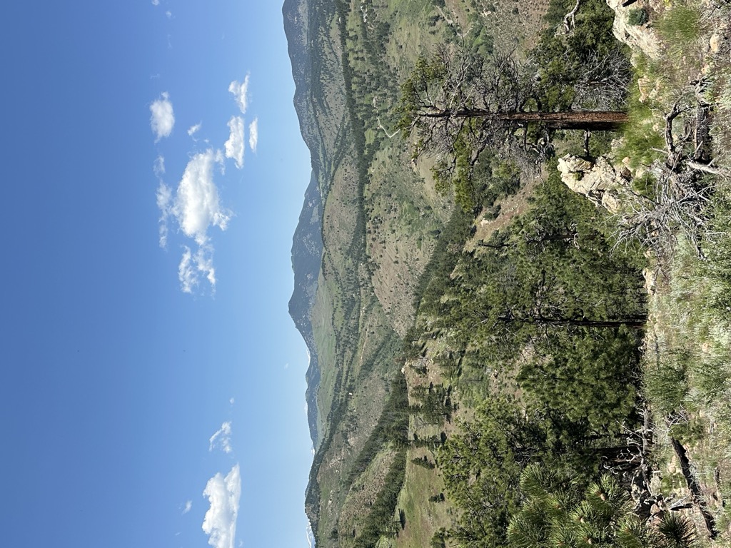 Mount Galbraith