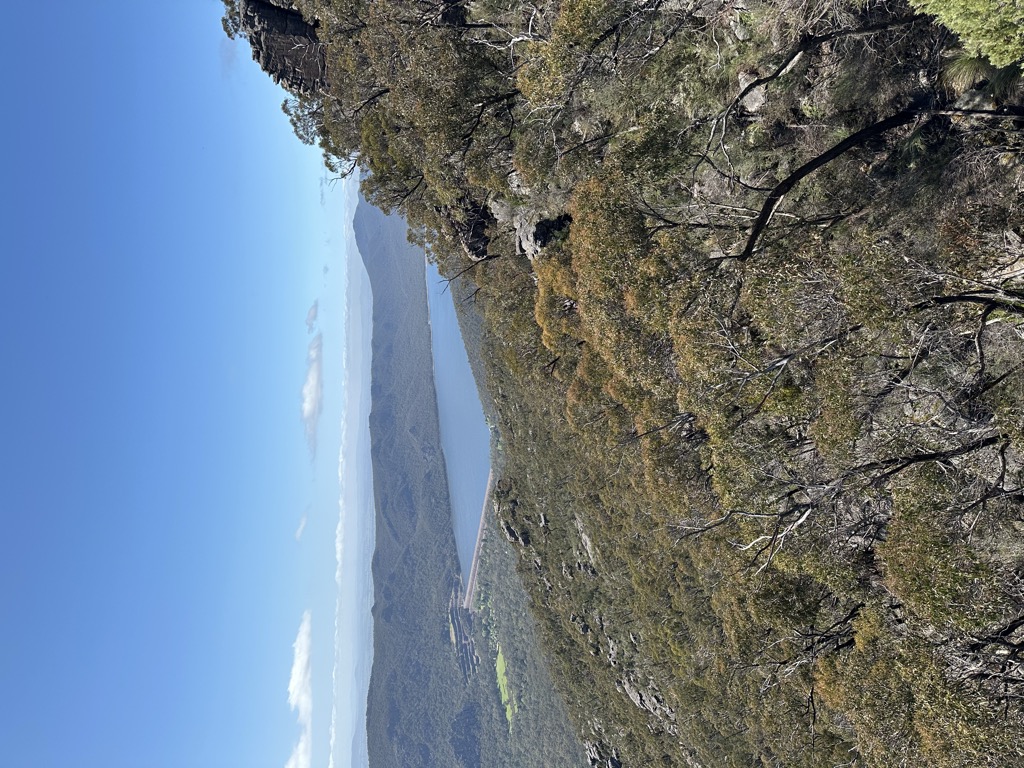 Lakeview Lookout