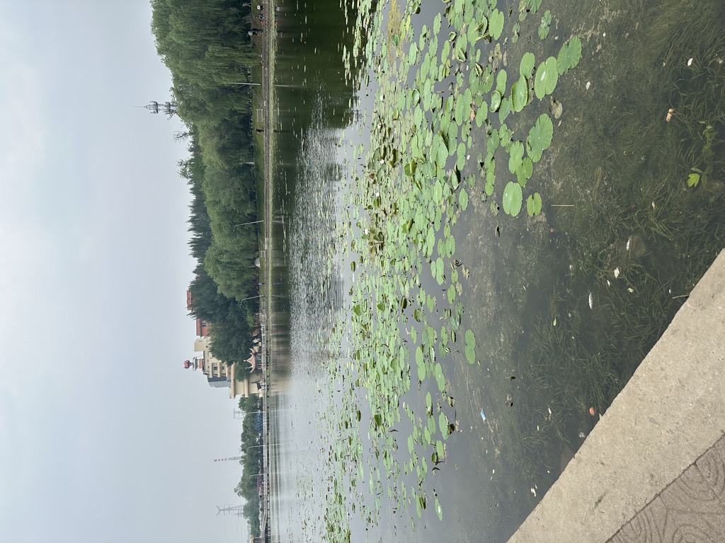 王权桢