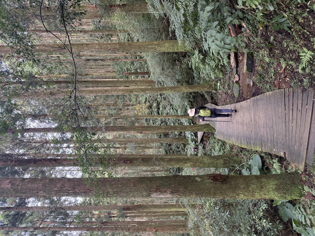 Dongyanshan
