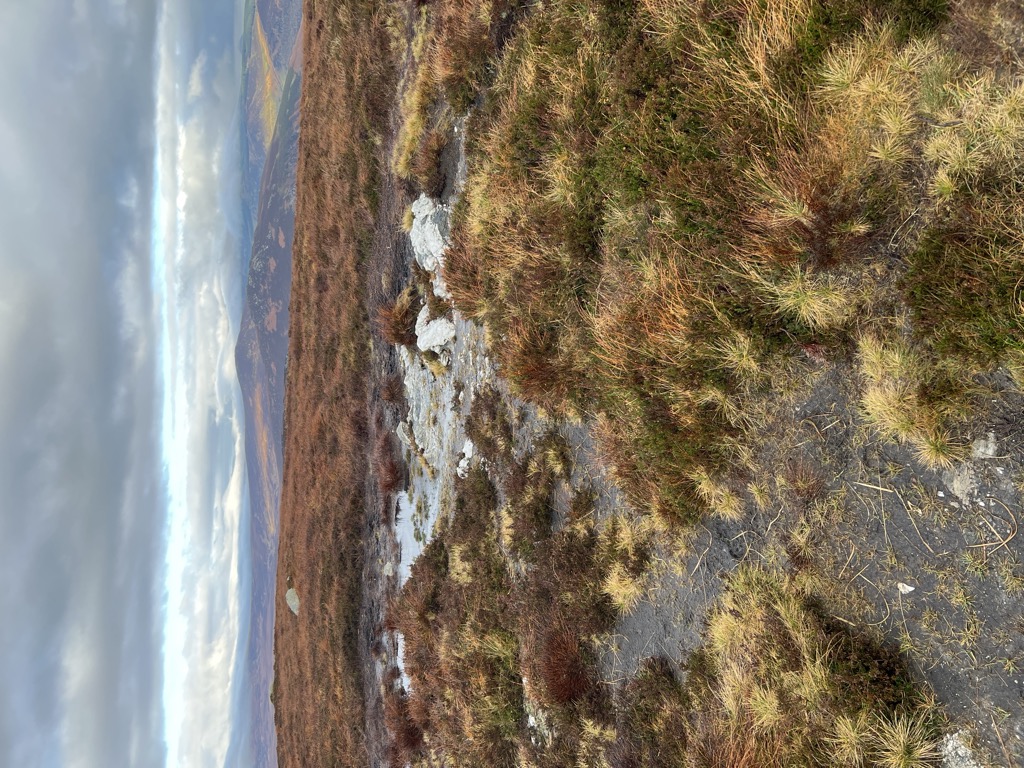 Scarr North-West Top