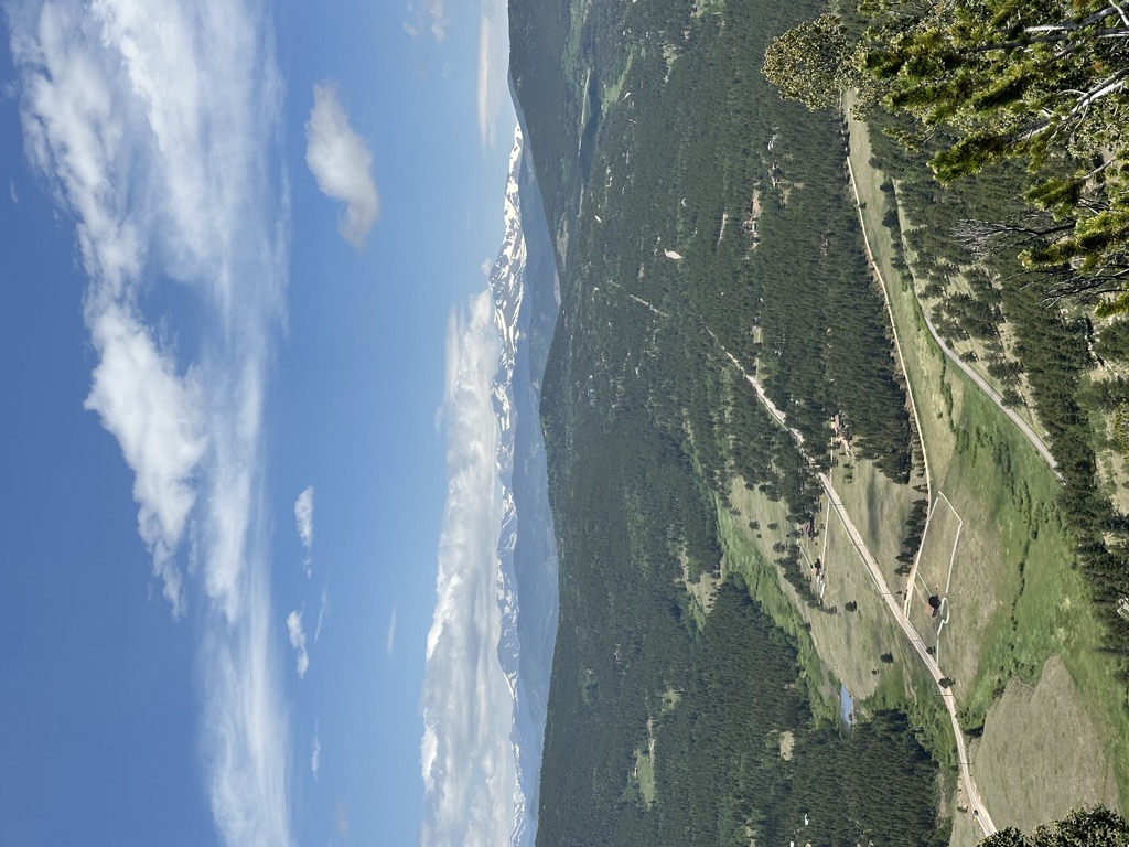 Ralston Roost