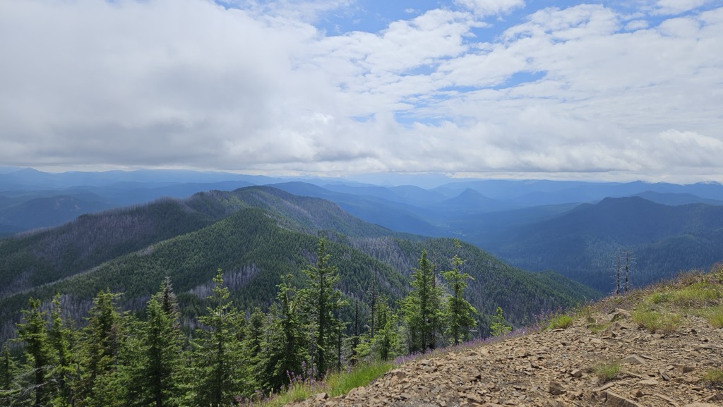 Observation Peak