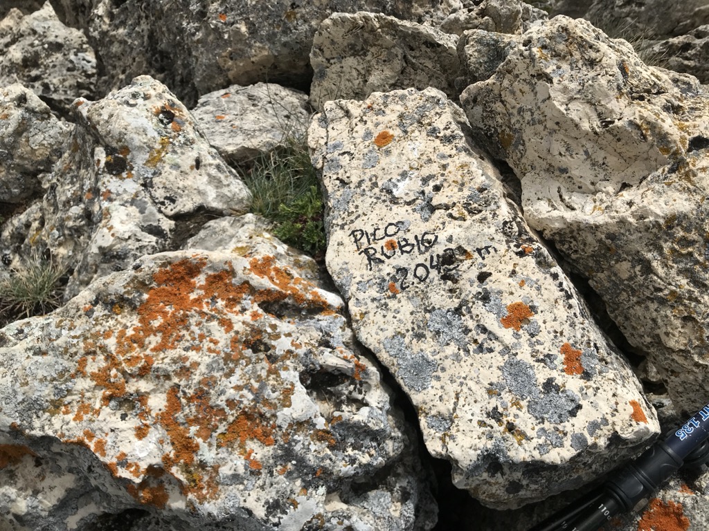 Pico Rubio