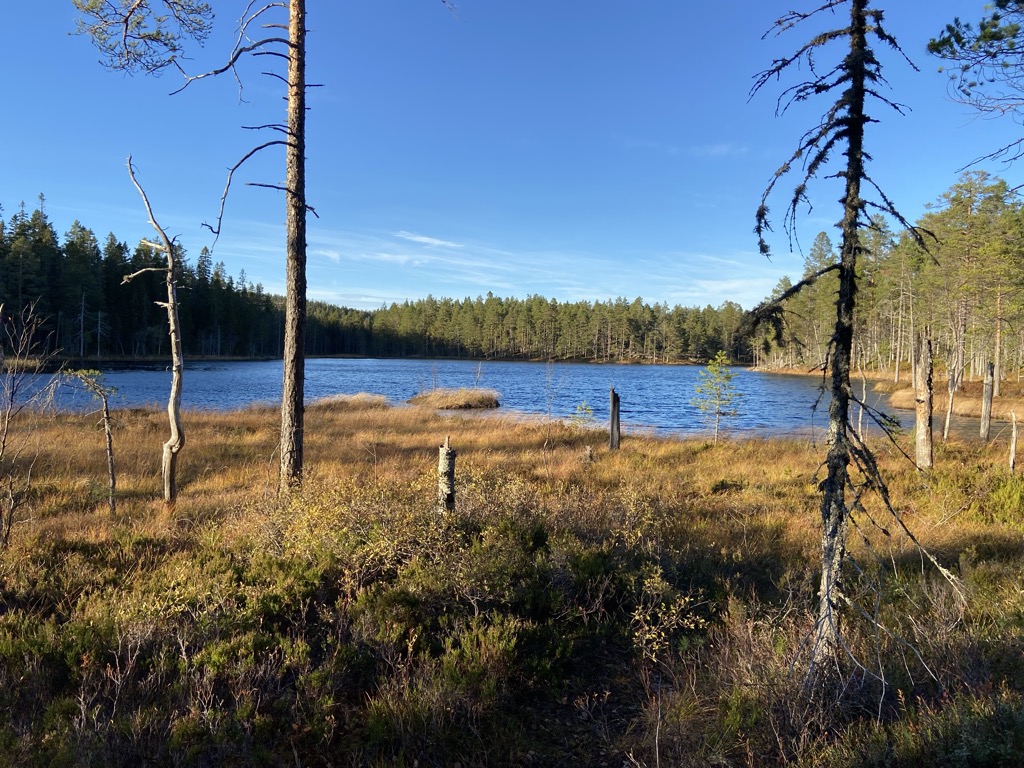 Tärnättvattnen