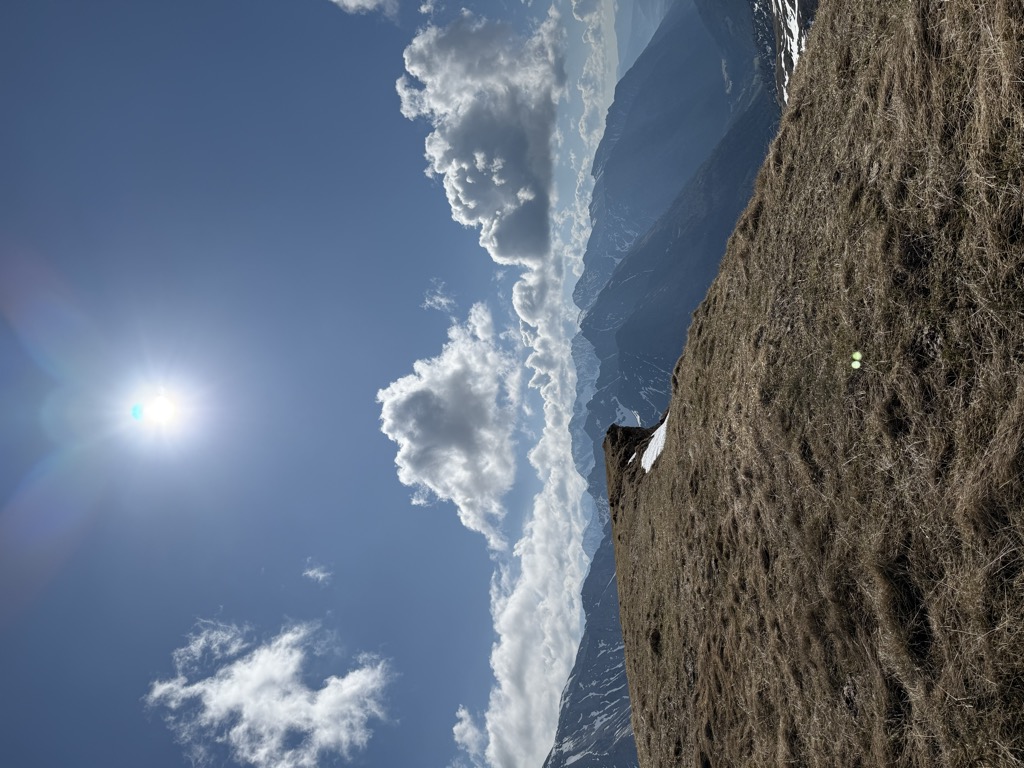Rosskogel