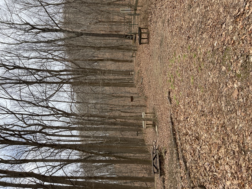 Coffin Springs Campsite