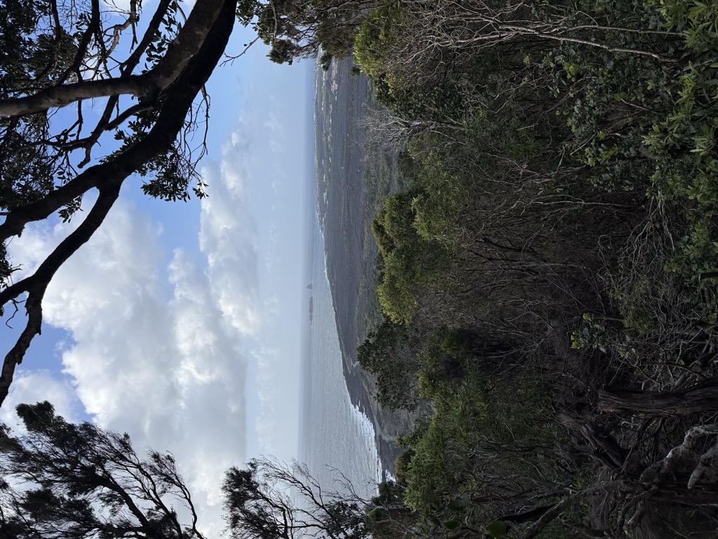 Monte