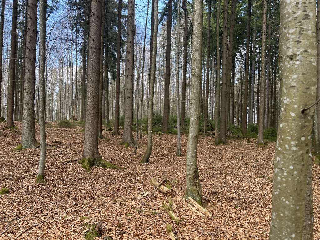 (Spálenec) [Přední Výtoň-Pasečná]