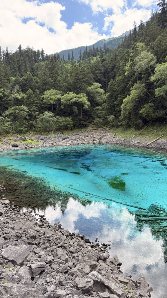 Colorful Pond