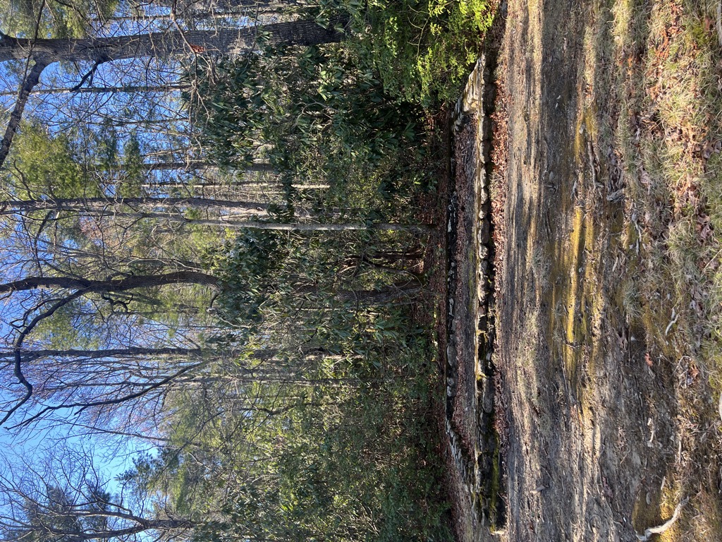 Curley Maple Gap