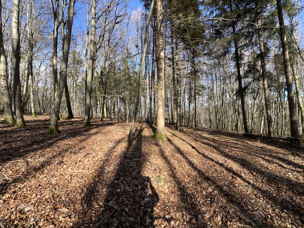 Brünneleskopf