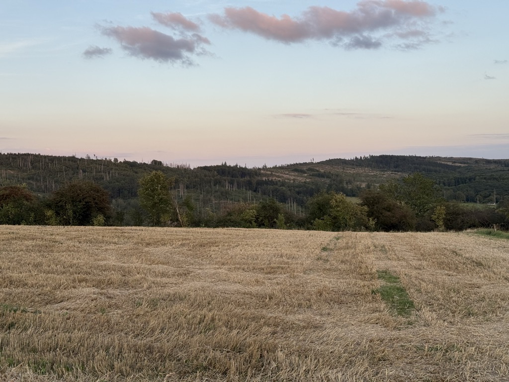 Sommerberg