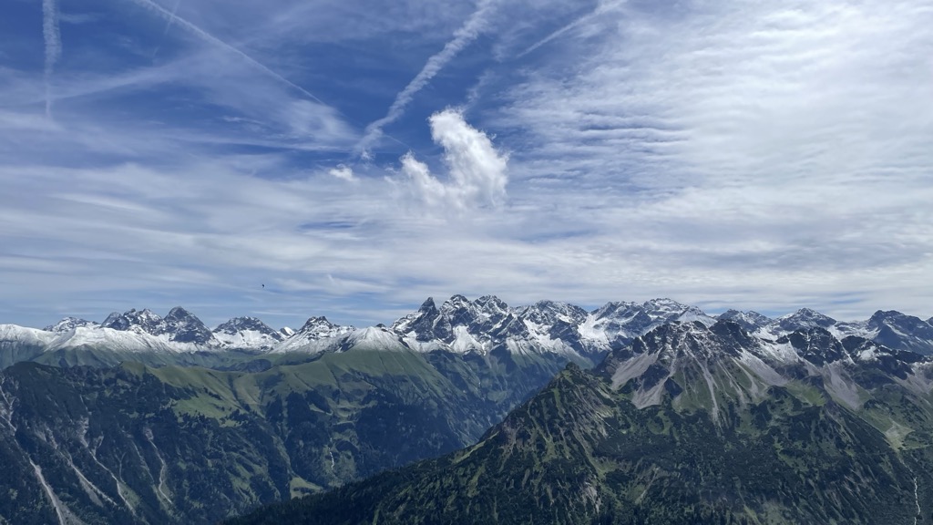 Fellhorn