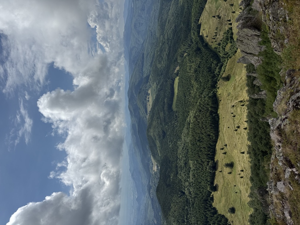Secătura