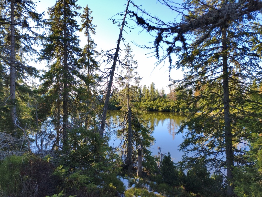 Jamské pleso