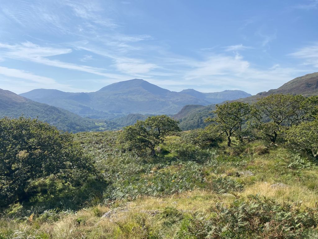 Dinas Emrys