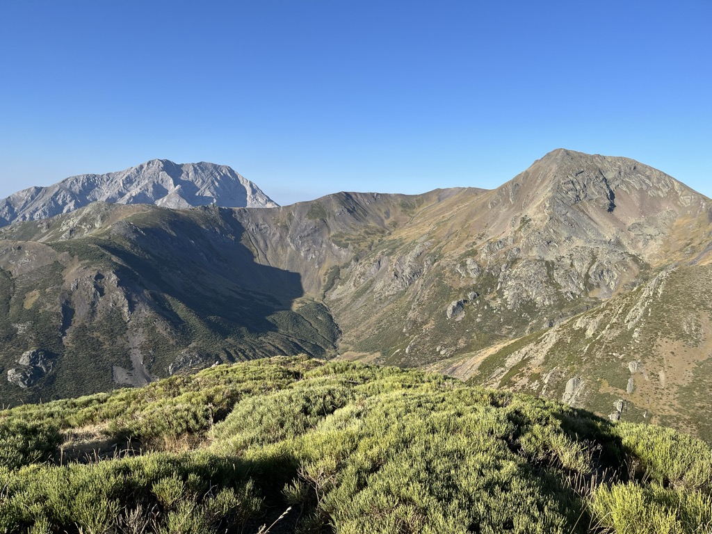 Pico Internauta