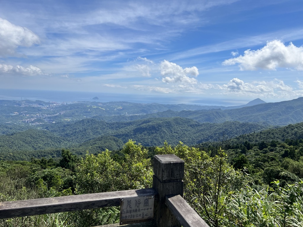 楊立偉