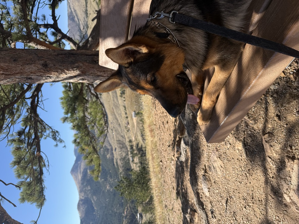 Bald Mountain