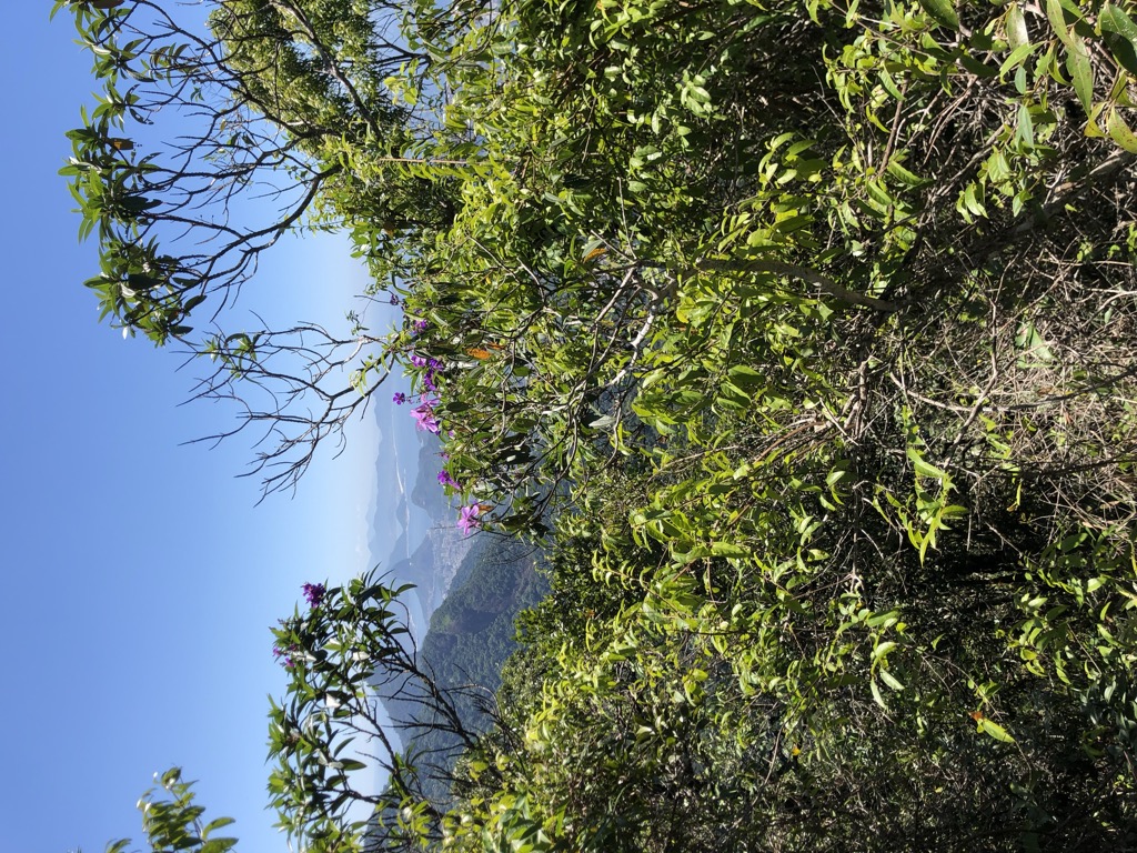 Morro do Queimado