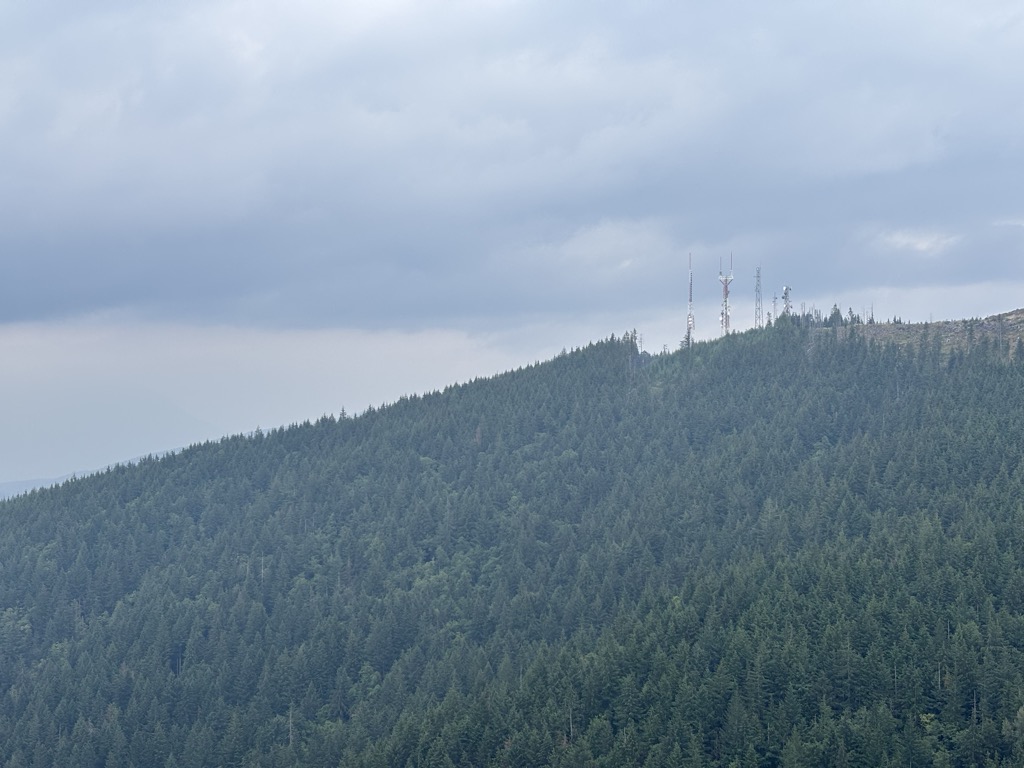 West Tiger #2