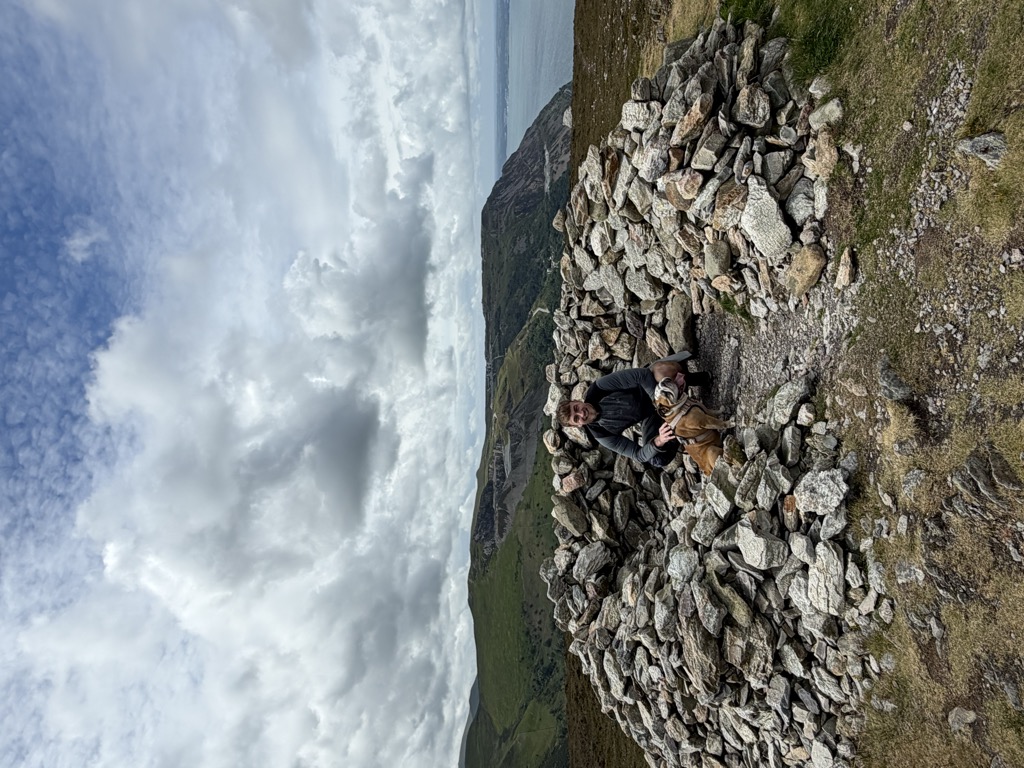 Foel Lus