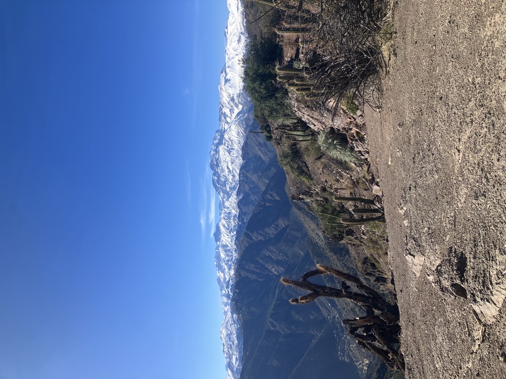 Morro Guayacán