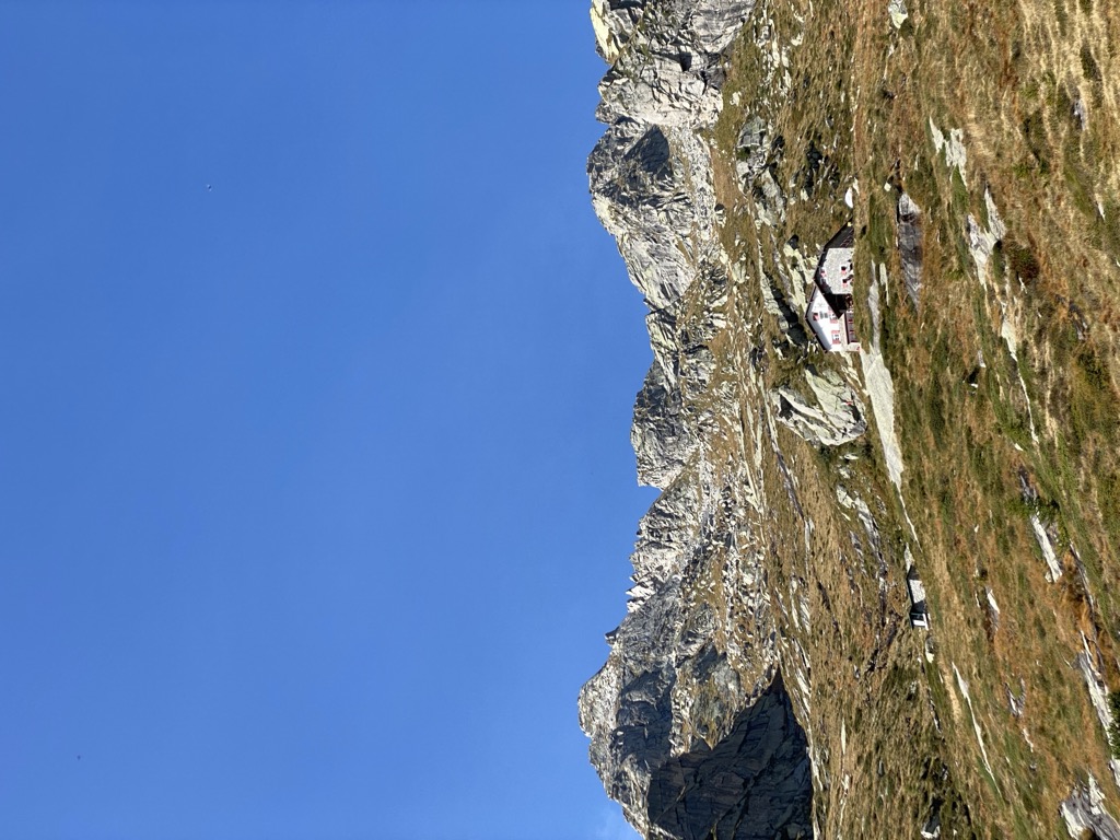 Davide Pellegatta