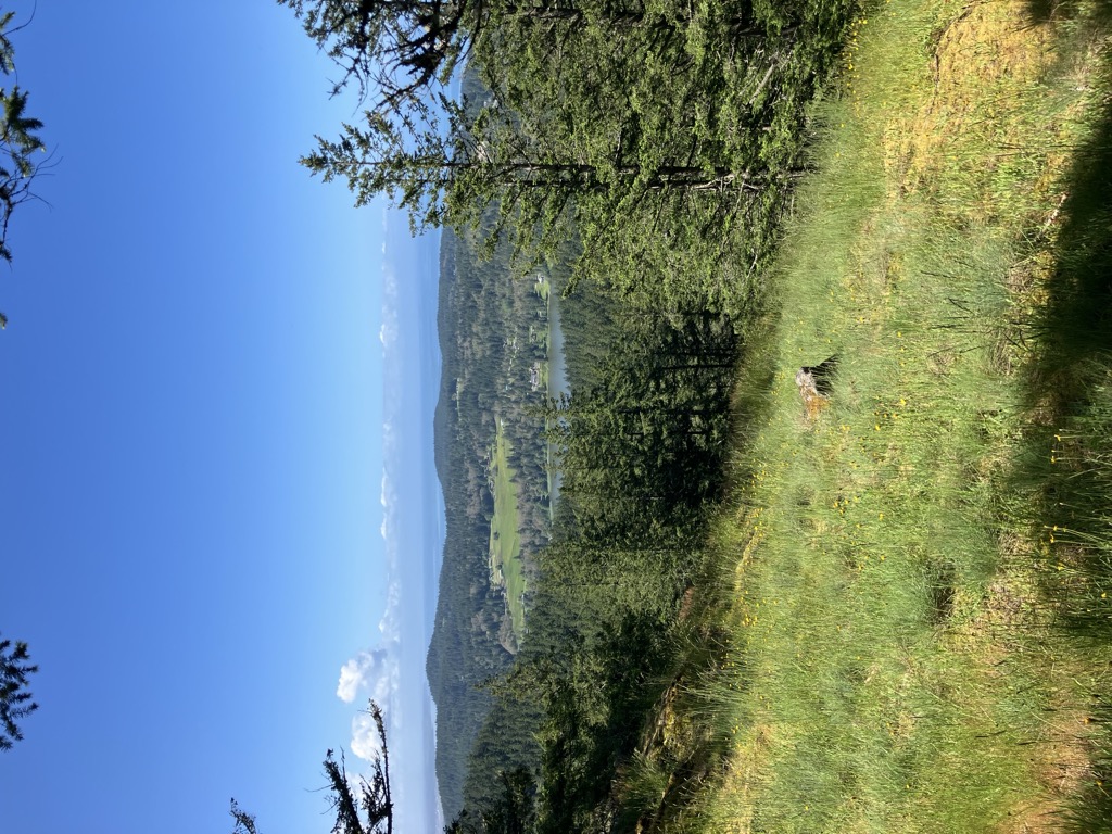 Sugarloaf