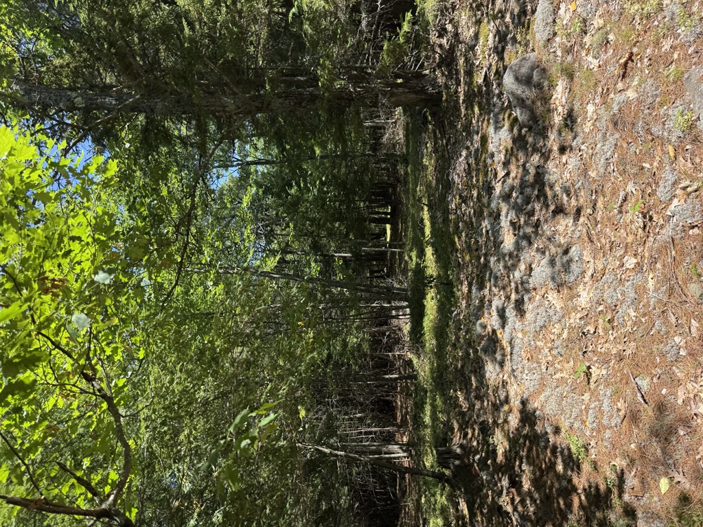 Beckman mountain