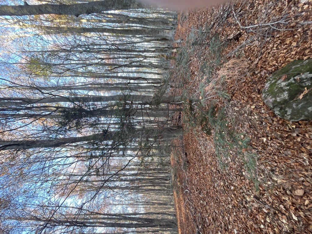 Monte Femminamorta