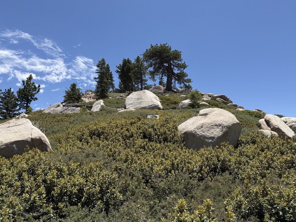 Crafts Peak