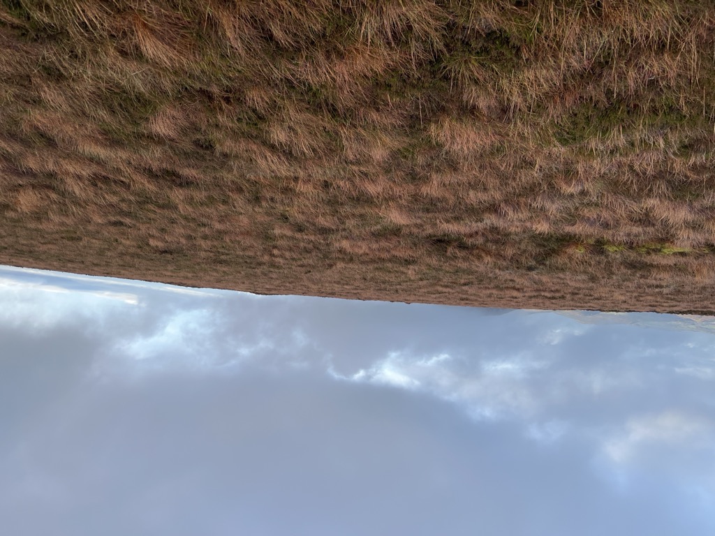 Tonduff East Top