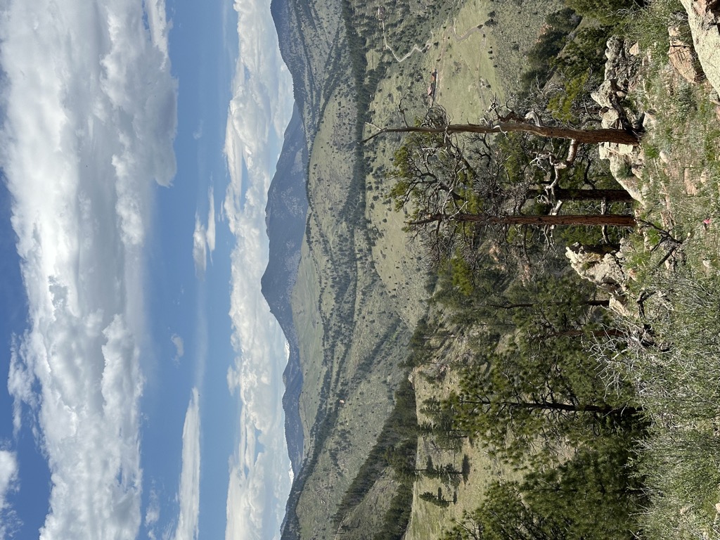 Mount Galbraith