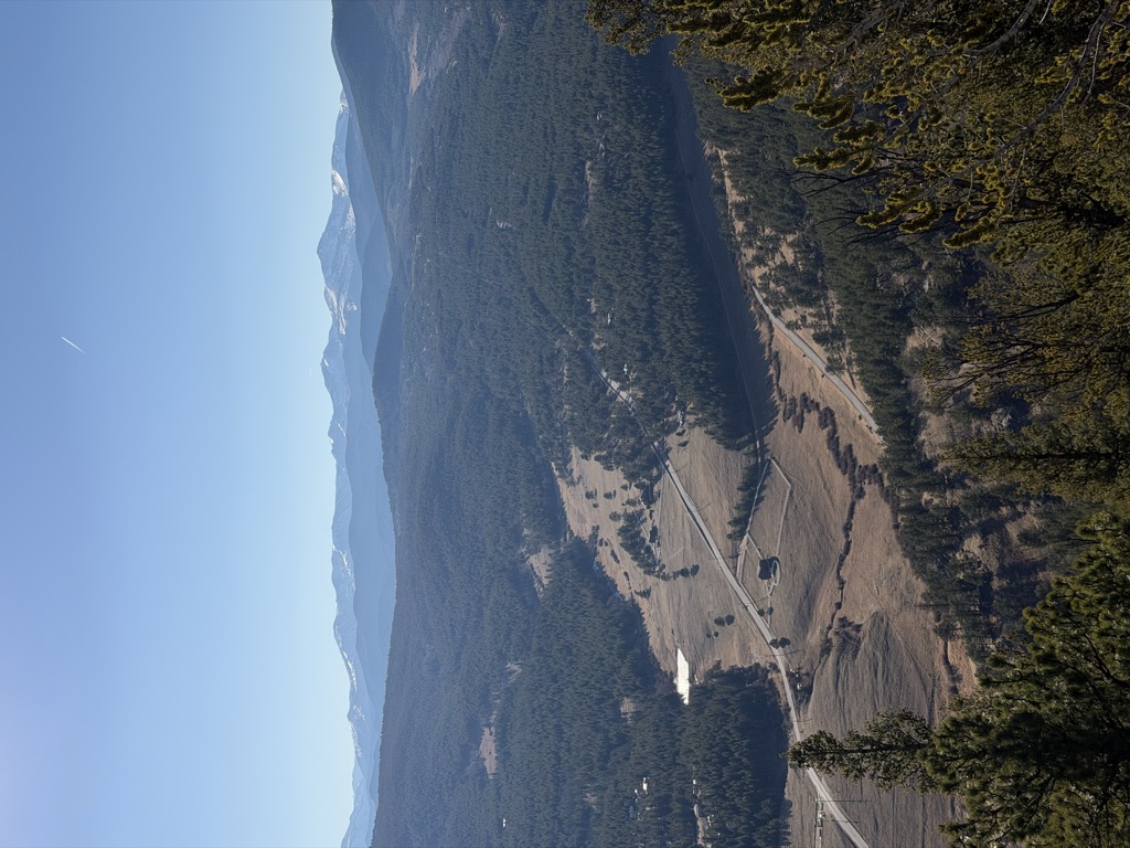 Ralston Roost