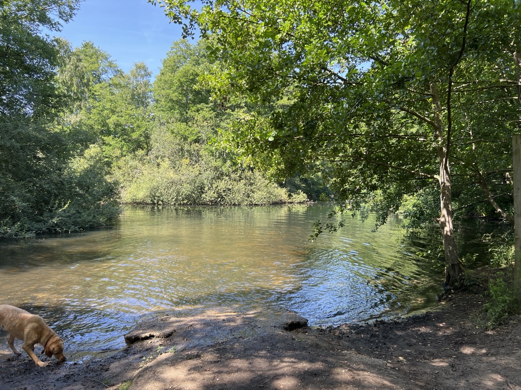 Royal Pond