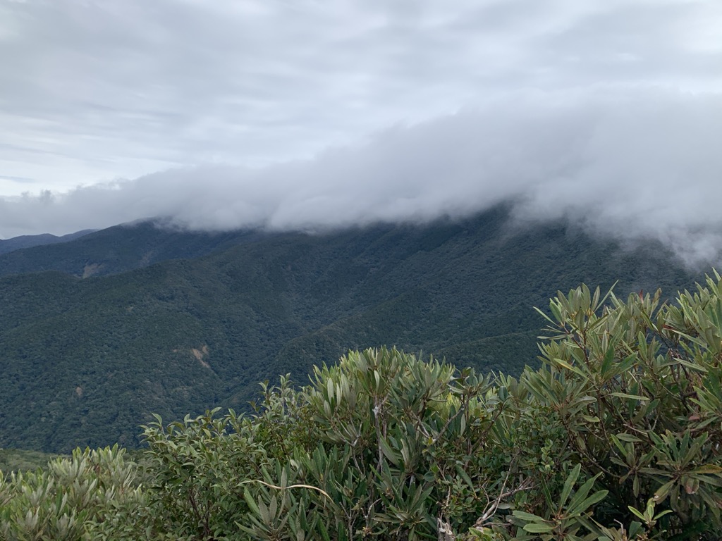黃永徳