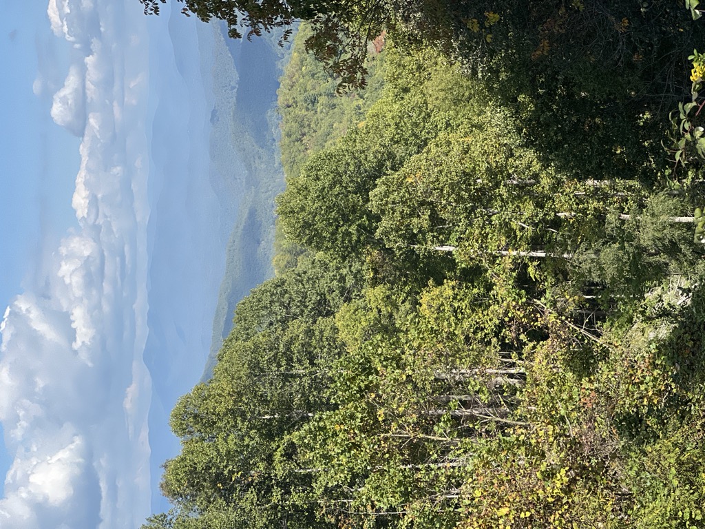 Stecoah Gap