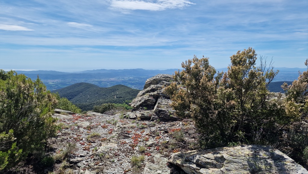 Turó del Pi Novell