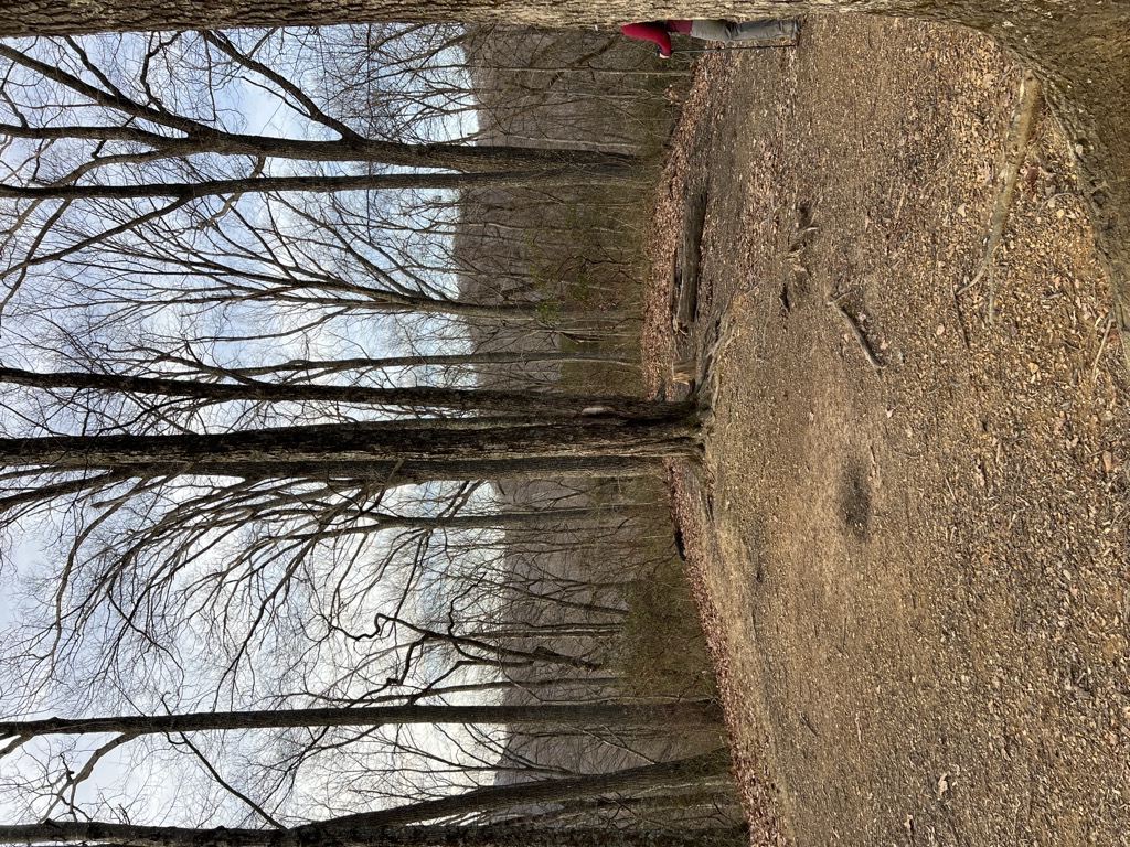 Old Mac Campsite