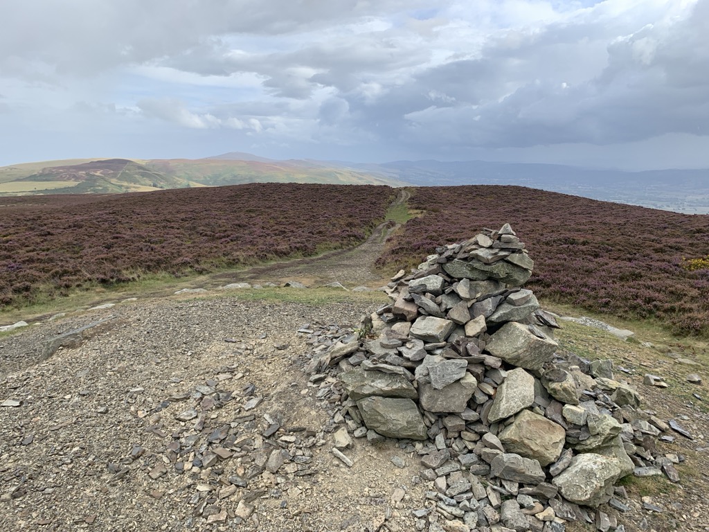 Penycloddiau