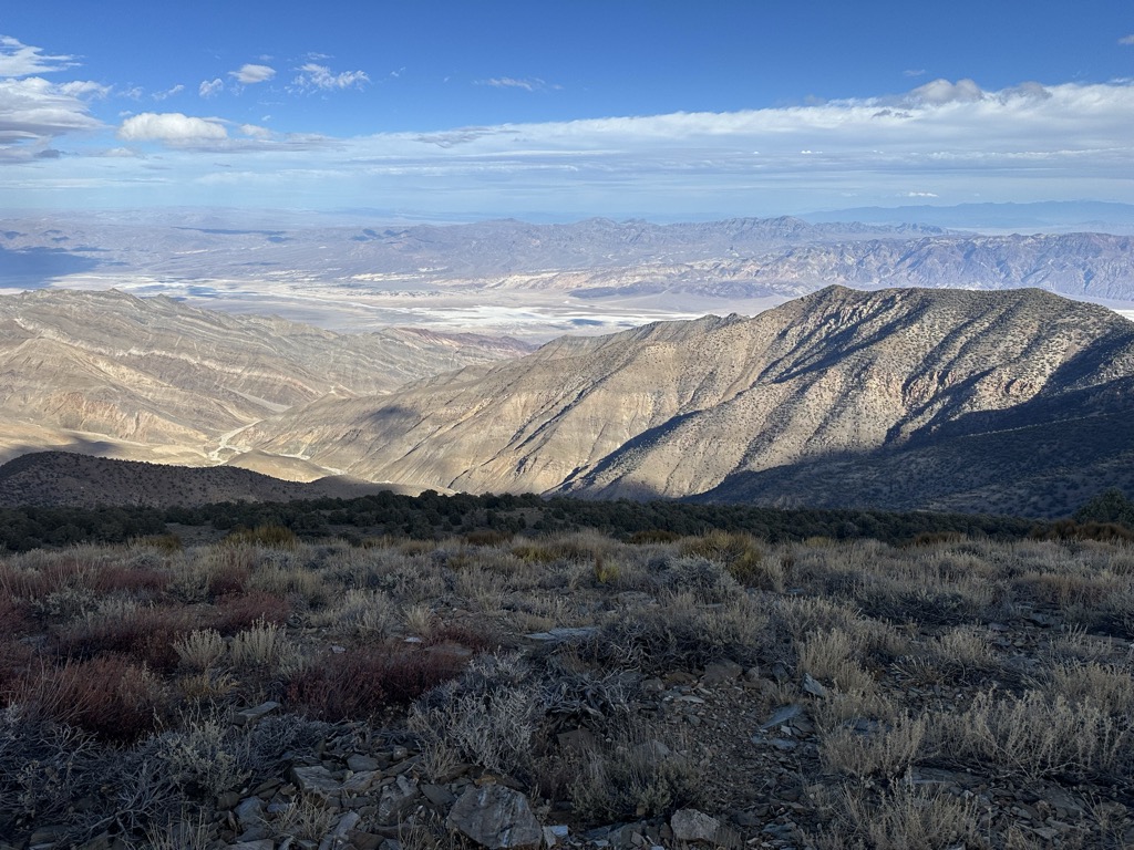 Wildrose Peak