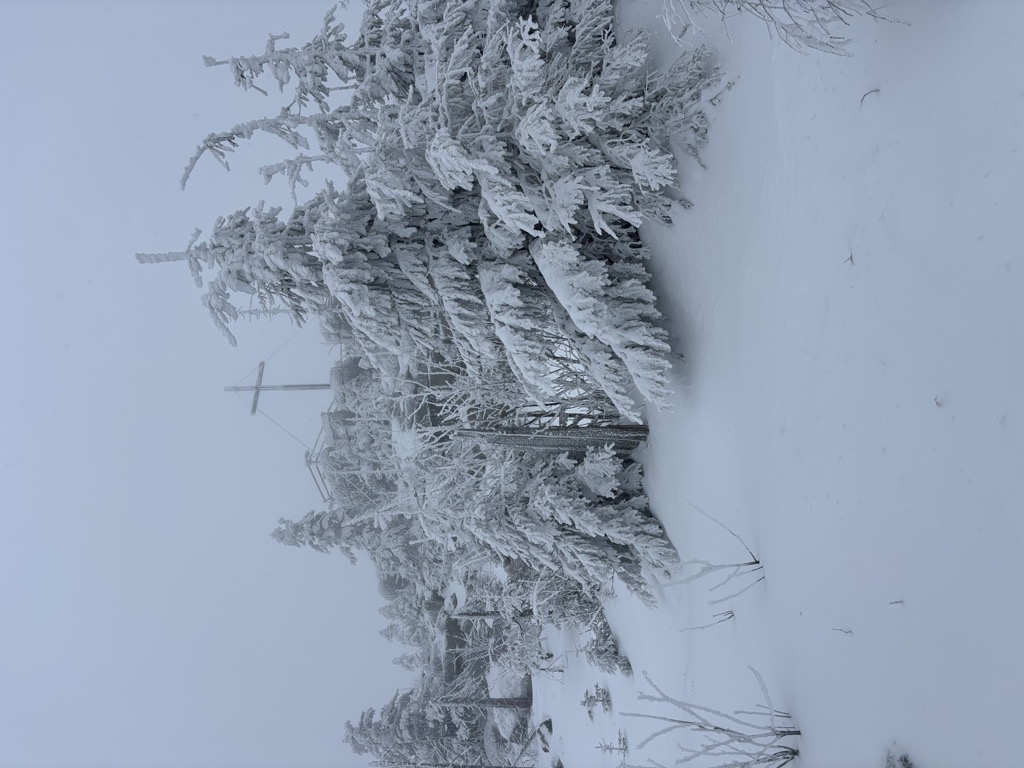 Hochstein