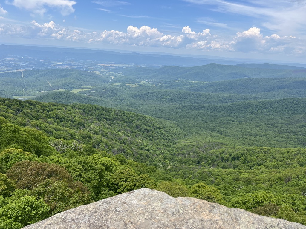 The Pinnacle